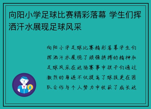 向阳小学足球比赛精彩落幕 学生们挥洒汗水展现足球风采